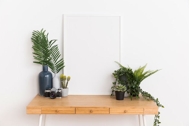 Decorative plant with empty frame