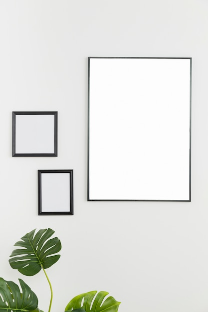 Decorative plant with empty frames