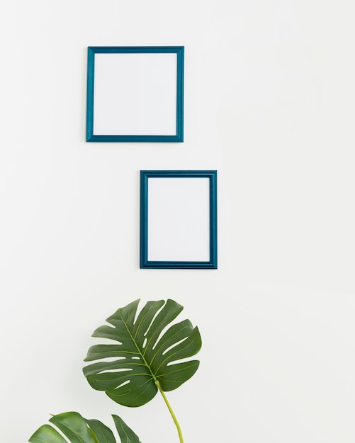 Free photo decorative plant with empty frames