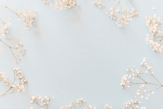Free Photo decorative plants on a background