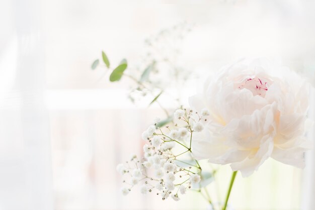 Decorative plants and flowers in a house