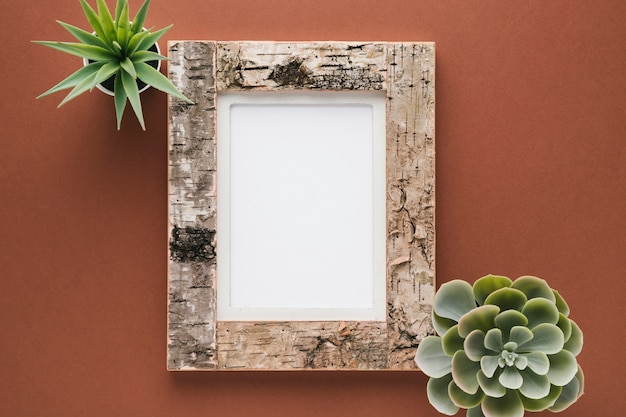 Free photo decorative plants with cork frame