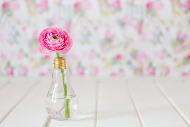 Decorative pretty flower with blurred background