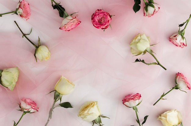 Декоративные романтические розы в плоской планировке