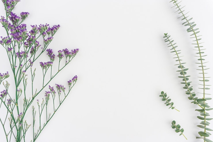 無料Photo decorative vegetation on white background