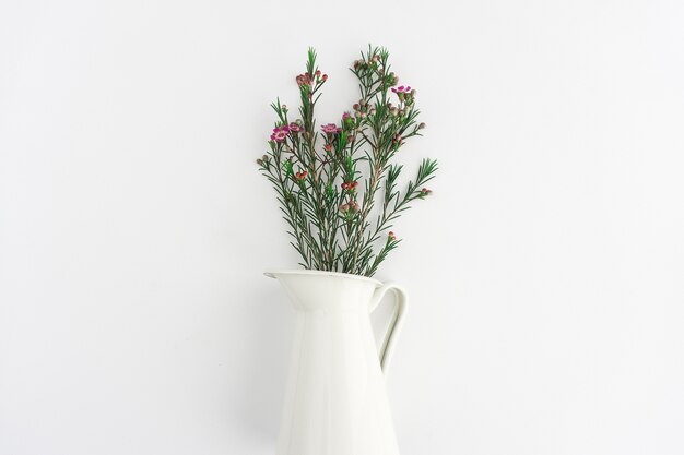 Декоративная белая ваза с белым фоном