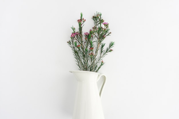 Decorative white vase with white background