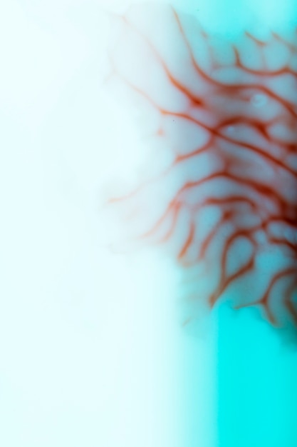 Free photo defocused close-up abstract of human veins