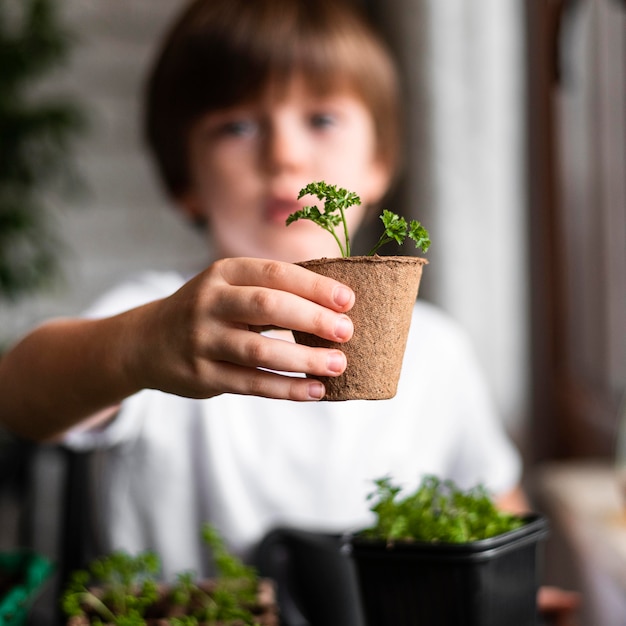 Defocused little boy holding plant in pot at home