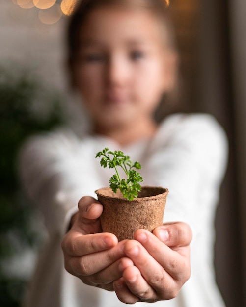 Defocused little girl holding plant in pot at home