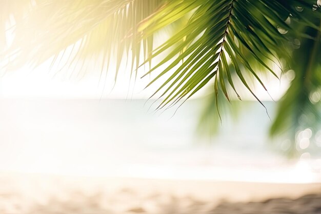 Расфокусированный летний фон пляжа с пальмовыми листьями по углам для продукта или пространства для копирования Ai генеративный