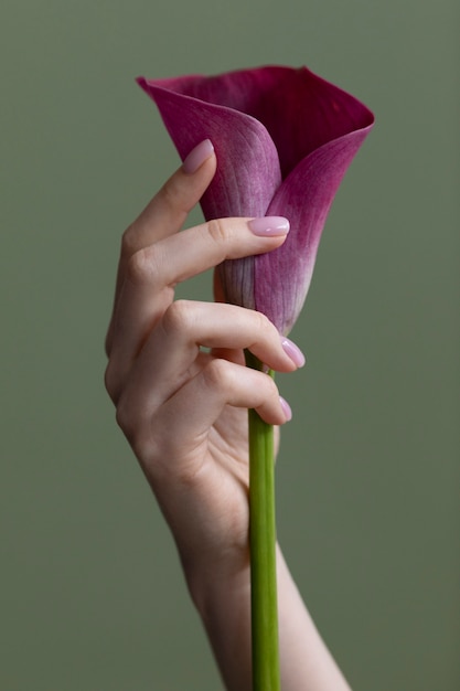 繊細な花の写真