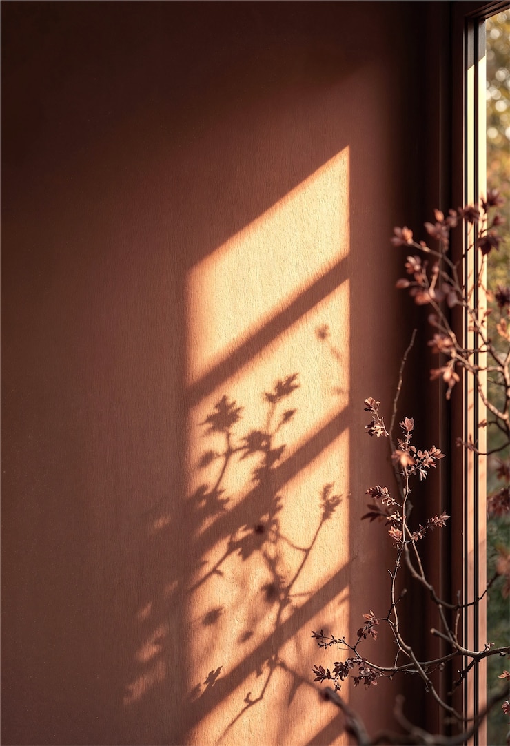 Free Photo delicate light and shadow of window