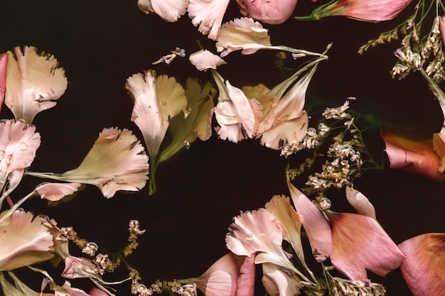 Нежные розовые цветы в черной воде