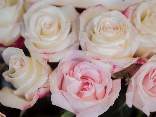 繊細なピンクのバラの花束をクローズアップ