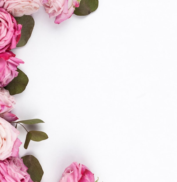 Delicate pink roses over plain surface