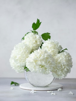 Delicate spring bouquet of viburnum opulus in a glass round vase. home decor concept. vertical image. gray wall