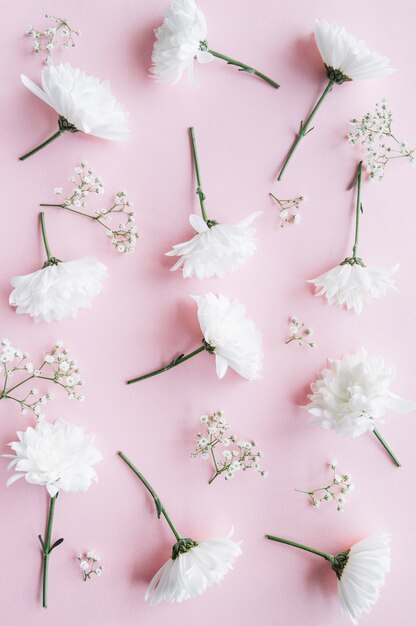 Delicate variaty of white flowers over a light pink surface vertical view