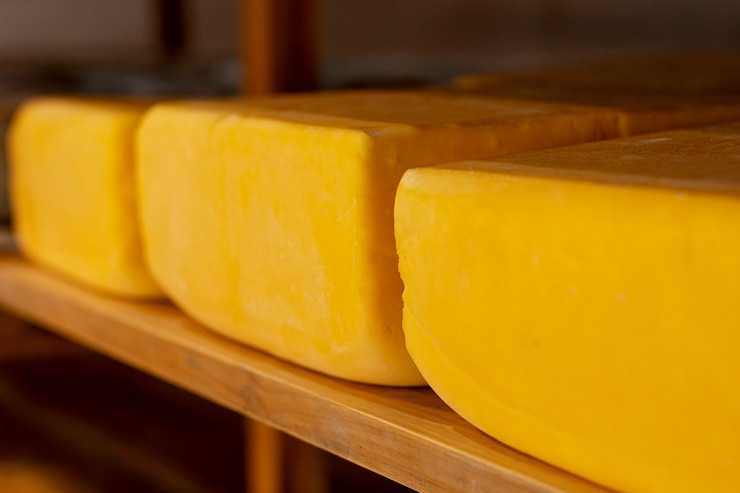 Free Photo delicious assortment of rustic cheese
