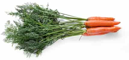 Free photo delicious carrot raw