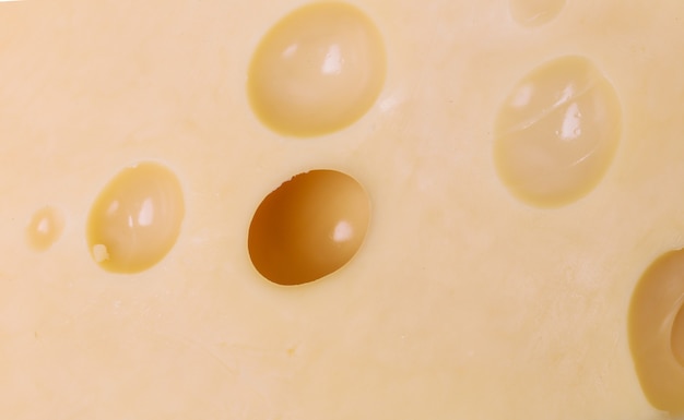 Вкусный сыр крупным планом