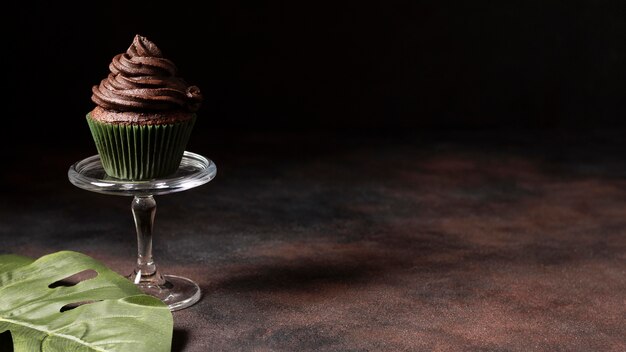 Delicious chocolate cupcake with copy space