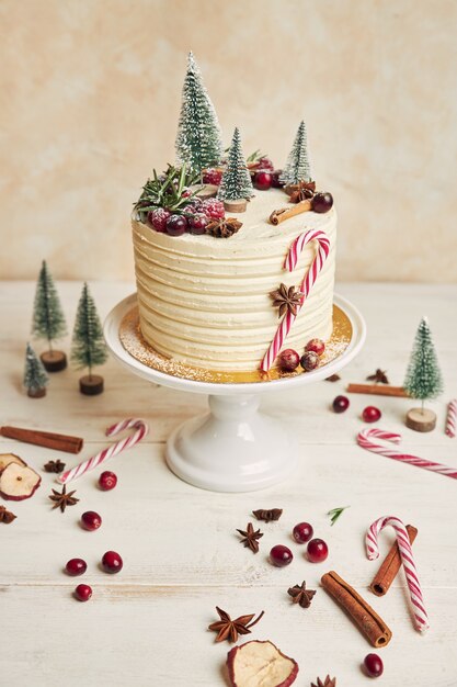 Delicious Christmas cake decorated with fir trees