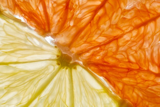 Delicious citrus slices arrangement close up