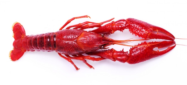 Delicious crayfish