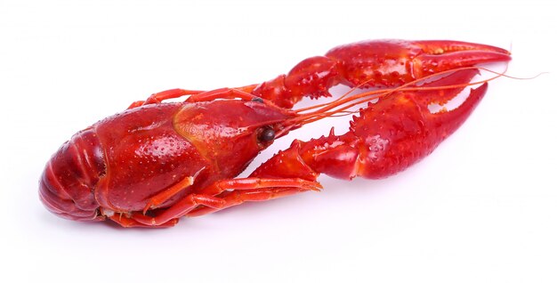 Delicious crayfish