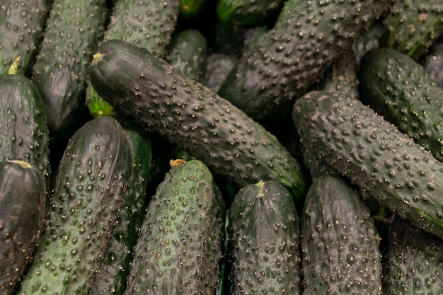 Foto gratuita disposizione deliziosa dei cetrioli