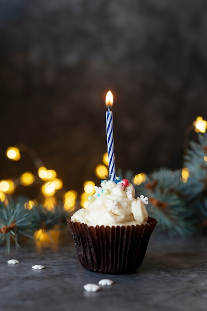 Delicious cupcake with candle