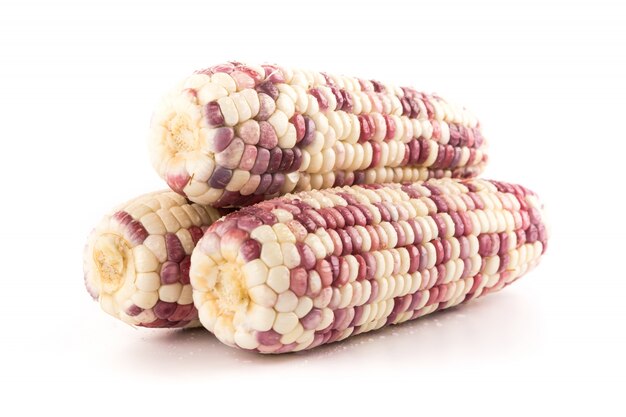 Delicious ear of corns