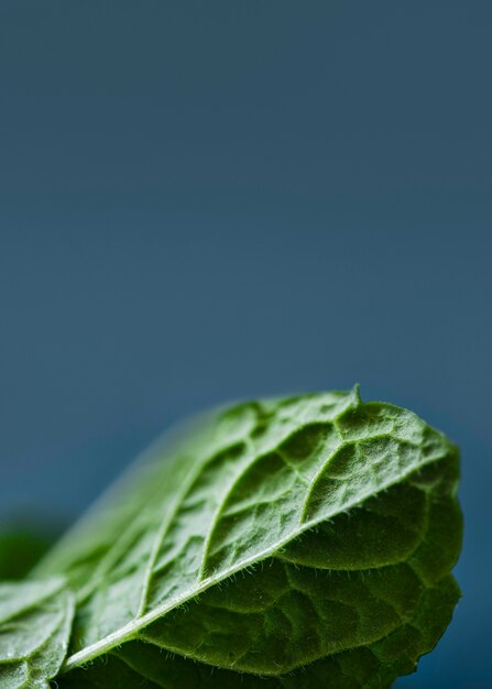 Delicious food texture composition close-up