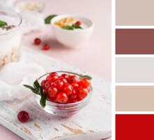 Free photo delicious food with color swatches