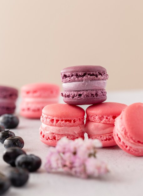 Delicious forest fruits macarons compositions