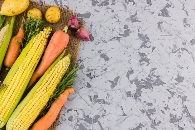 Delicious fresh corn and vegetables with copy space