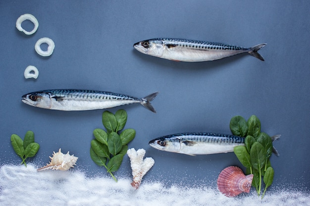 青い背景においしい新鮮な魚。香り高いハーブ、タマネギ、水中の魚の水泳概念
