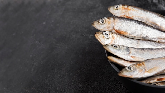 お皿に盛り付けた新鮮な魚