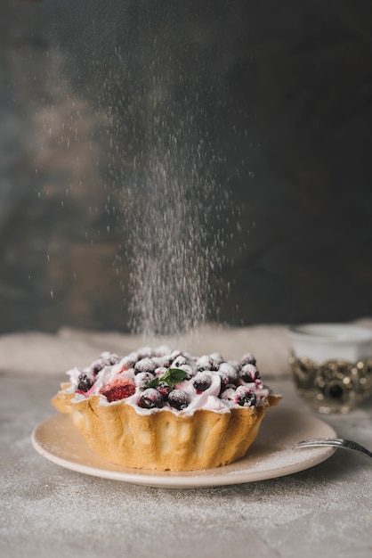 Delicious homemade fruit tart dusted with icing sugar on the plate