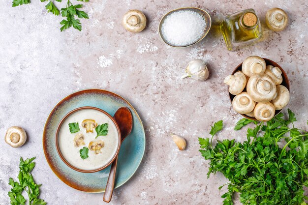 Delicious homemade mushroom cream soup,top view