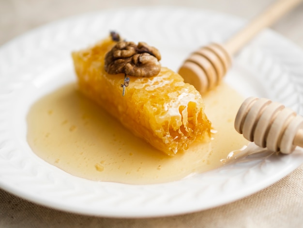 Delicious honeycomb close up