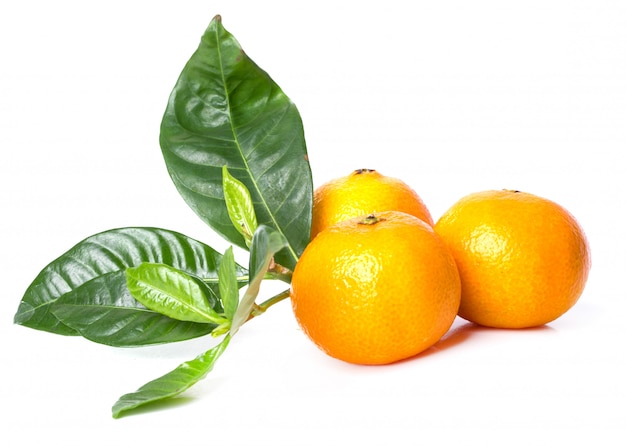 Delicious mandarin