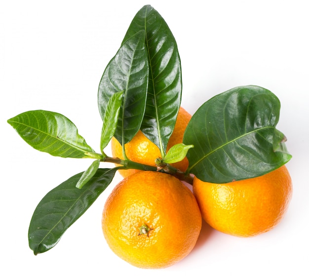 Free photo delicious mandarin