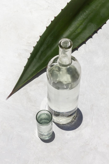 Foto gratuita delizioso assortimento di bevande mezcal