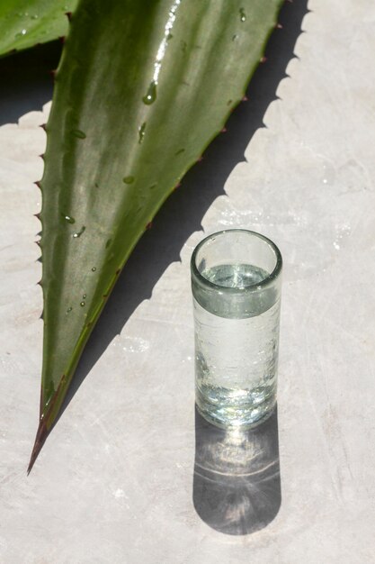 Delicious mezcal beverage assortment