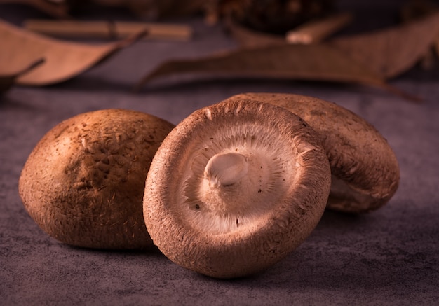 Delicious mushrooms