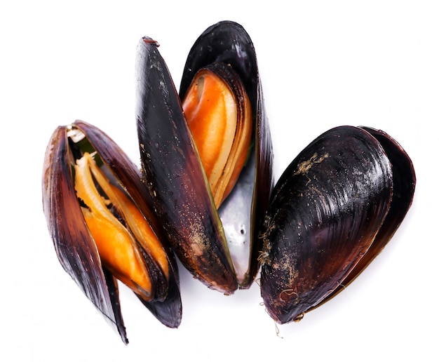 Free photo delicious mussels on white