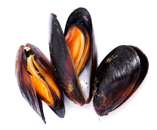 Delicious mussels on white