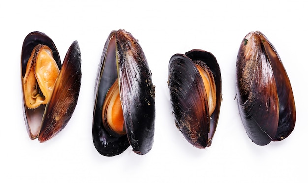 Delicious mussels on white